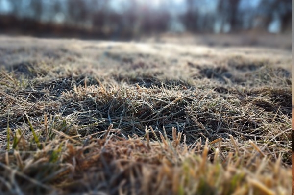Bellisimo frio
