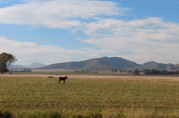 Fugaz, El Cerro Tres Picos